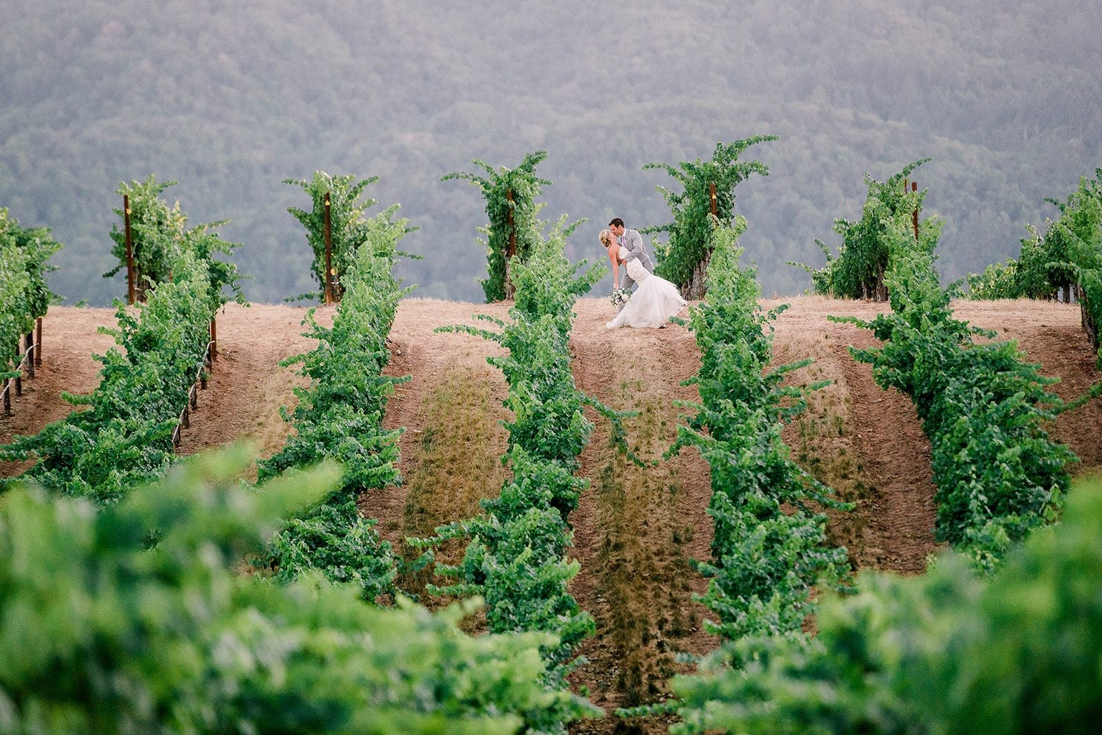 A couple share a kiss among the vineyard rows